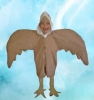 aguila